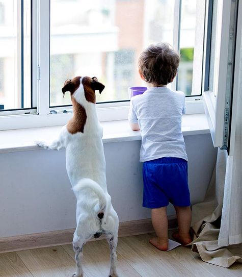 Kind und Hund schauen aus dem Fenster