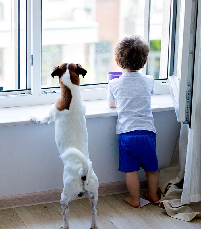 Kind und Hund schauen aus dem Fenster